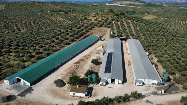 CASO DE ÉXITO INDUSTRIAL - GERMAN PEDRERA